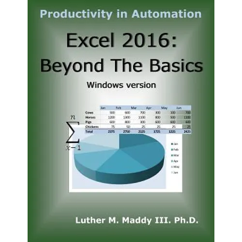 Excel 2016: Beyond the Basics - Paperback