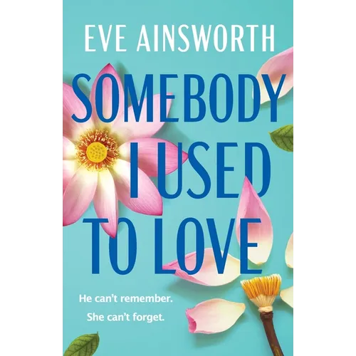 Somebody I Used to Love - Paperback