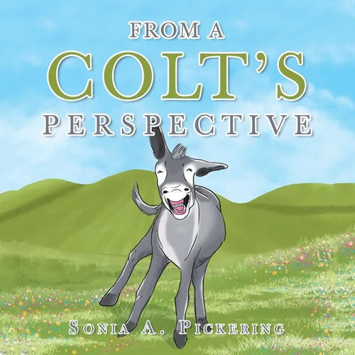 From a Colt's Perspective - Paperback