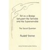 Art as a Bridge between the Sensible and the Supersensible: The Social Question - Paperback