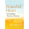 Peaceful Heart: The Buddhist Practice of Patience - Paperback