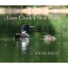 Loon Chick's First Flight - Paperback