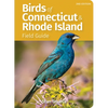 Birds of Connecticut & Rhode Island Field Guide - Paperback