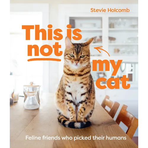 This Is Not My Cat: Feline Friends Who Picked Their Humans - Hardcover