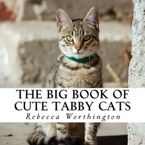 The Big Book of Cute Tabby Cats: A text-free book for Seniors and Alzheimer's patients - Paperback