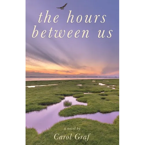 The Hours Between Us - Paperback