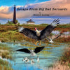 Escape From Big, Bad Bernardo - Paperback