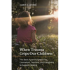 When Trauma Grips Our Children: The Basic Pyramid System for Counselors, Teachers, and Caregivers to Support Healing - Paperback