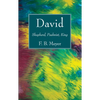 David - Hardcover