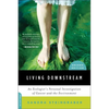 Living Downstream: An Ecologist's Personal Investigation of Cancer and the Environment - Paperback