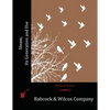 Steam, Its Generation and Use - Paperback