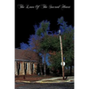 The Love Of The Sacred Heart - Paperback