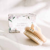 Dry Body Brush