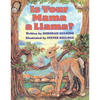 Is Your Mama a Llama? - Board Book