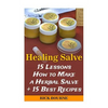 Healing Salve: 15 Lessons How to Make a Herbal Salve + 15 Best Recipes - Paperback