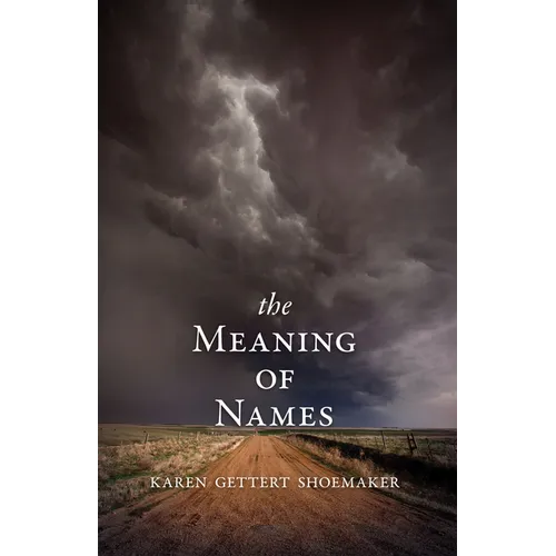 The Meaning of Names - Paperback