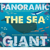 The Sea: A Poster Book to Understand Everything about the World - Hardcover