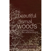 The Beautiful Dismal Woods: Short Stories from the Adirondacks - Paperback