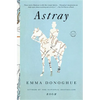 Astray - Paperback