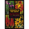 Strength of the Earth: The Classic Guide to Ojibwe Uses of Native Plants - Paperback