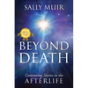 Beyond Death: Continuing Stories in the Afterlife - Paperback