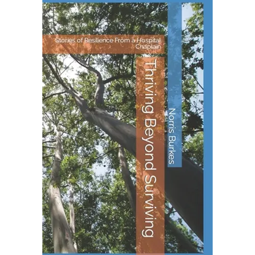 Thriving Beyond Surviving: Stories of Resilience From a Hospital Chaplain - Paperback