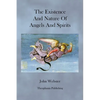 The Existence and Nature of Angels and Spirits - Paperback