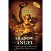 In The Shadow of the Angel: Three Critical Decades in Mexico's History - Paperback