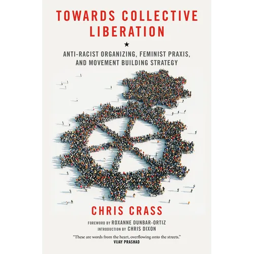 Towards Collective Liberation: Anti-Racist Organizing, Feminist Praxis, and Movement Building Strategy - Paperback