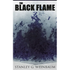 The Black Flame: Dystopian Novel - Paperback