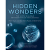 Hidden Wonders: The Subtle Dialogue Between Physics and Elegance - Paperback