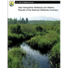 New Hampshire Wetlands and Waters: Results of the National Wetlands Inventory - Paperback