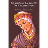 The Vision of La Salette: The Children Speak - Paperback