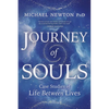 Journey of Souls: Case Studies of Life Between Lives - Paperback