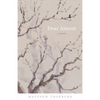 Dear Almost: A Poem - Paperback