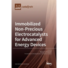 Immobilized Non-Precious Electrocatalysts for Advanced Energy Devices - Hardcover