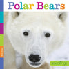 Seedlings: Polar Bears - Paperback