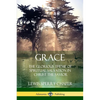 Grace: The Glorious Theme of Spiritual Salvation in Christ the Savior - Paperback
