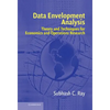 Data Envelopment Analysis: Theory and Techniques for Economics and Operations Research - Hardcover
