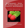 Raspberries - How To Plant, Grow and Harvest Raspberries: USDA Bulletin - Paperback