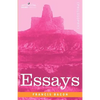 Essays - Paperback