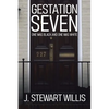 Gestation Seven: One Was Black and One Was White - Paperback