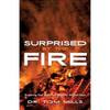 Surprised by the Fire - Paperback