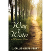 Way to Water: A Theopoetics Primer - Paperback
