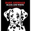 Baby Animals: Black and White - Board Book