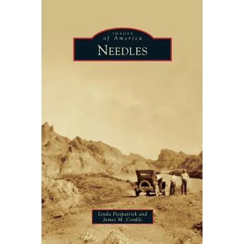 Needles - Hardcover