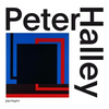 Peter Halley: Paintings of the 1980s: The Catalogue Raisonné - Hardcover
