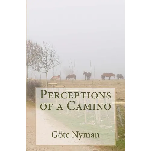 Perceptions of a Camino - Paperback