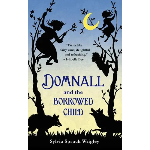 Domnall and the Borrowed Child - Paperback