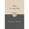 John: The Gospel of Belief: An Analytic Study of the Text - Paperback